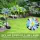 thumbnail image 2 of Decoración decorativa accionada solar de la jardinería del partido del patio trasero de la luz 600Mah de la flor Hugtrwg Para estrenar, 2 of 8