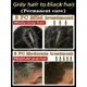 thumbnail image 5 of Elimina el pelo gris y Restaura el color natural del cabello en 7 días, saludable, 5 of 5