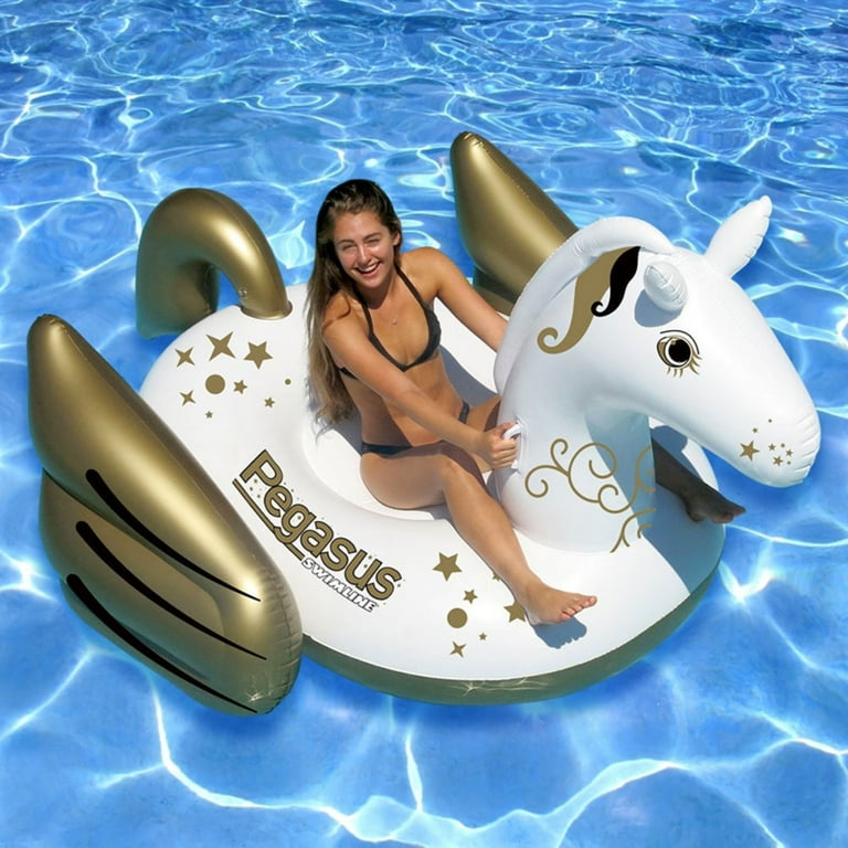 Pegasus pool fashion float