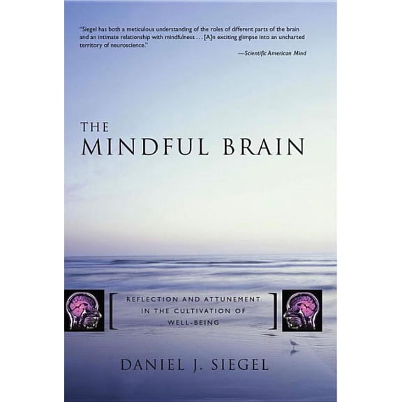 Norton Interpersonal Neurobiology The Mindful Brain: Reflection and Attunement in the Cultivation of Well-Being, (Hardcover)