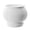 White L, variant on mdesiwst Self Watering Pot for Indoor Plants Small Plastic Flower Plant Pot with Wick Rope And Reservoir for African Violet Spider Plant Orchid