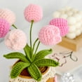 thumbnail image 4 of Handmade Crochet Tulip Bouquet Potted Plants, Knitted Artificial Forever Flowers with Exquisite Pot,Gift to Friends Women Kids,Perfect for Home Decorations, Office Desk(Pink), 4 of 8