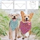 thumbnail image 4 of 4 pañuelos de poliéster para mascotas con estampado de flores botánicas, lavables, de tela triangular., 4 of 9