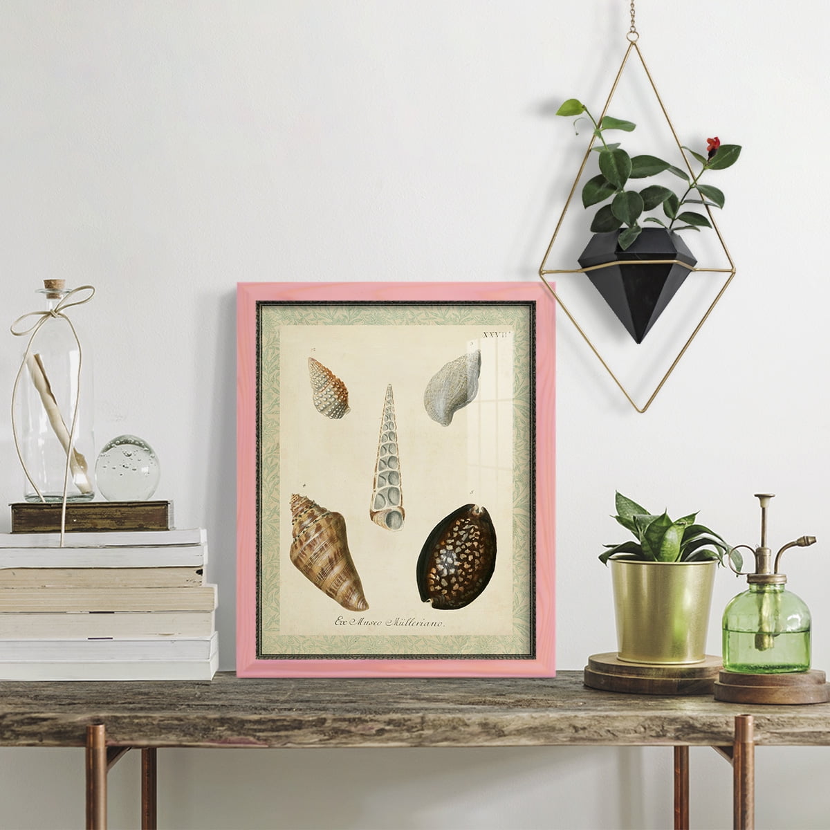 Bookplate Shells IX - Framed Print w/glass - Sunset Pink