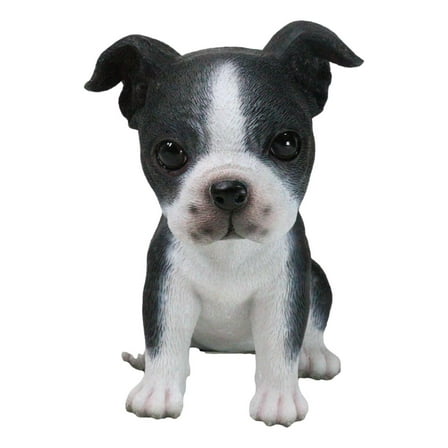 Realistic Miniature Boston Terrier Puppy Figurine 5.75"Tall Animal Dog