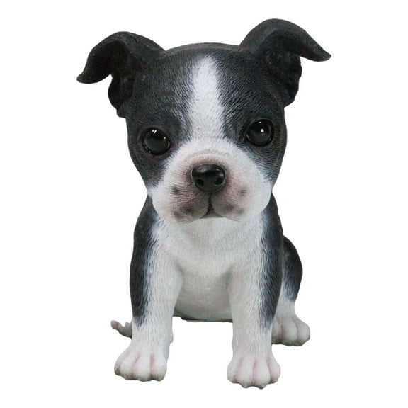 Realistic Miniature Boston Terrier Puppy Figurine 5.75"Tall Animal Dog