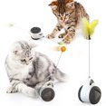 thumbnail image 1 of Tumbler Swing juguetes para gatos gatito coche gato persiguiendo juguete amarillo Afortunado Sencillez, 1 of 4