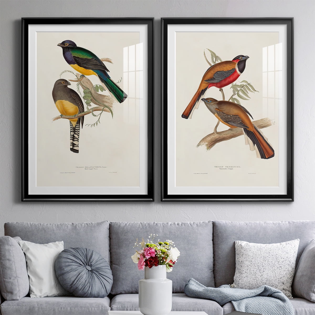 Wexford Home Elegant Trogons III Premium Framed Print, 30.5" x 42.5" - Ready to Hang, Black (Set of 2)