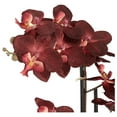 thumbnail image 3 of Red Orchid Flower Arrangement Potted - 24" Faux Silk Artificial Plant in Crackle Gray Vase - Realistic Home Decor for Living Room, Office, Bedroom, Kitchen, 3 of 6