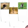 thumbnail image 3 of The Best Card Company - 10 Adorable Blank Dog Cards (4 x 5.12 Inch) - Pet Dog Breed Assortment, Boxed - Playful Pointers AM6297OCB-B1x10, 3 of 6