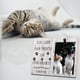 thumbnail image 3 of Marco de fotos KINGNOW Pet Memorial 4x6 para gato o perro, 3 of 7