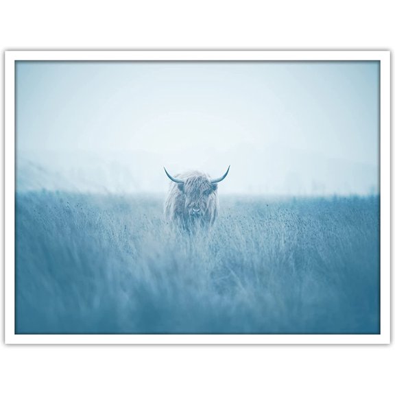 PixonSign Framed Wall Art Print Brown Highland Cow in the Distance Animals Wilderness Photography Realism Modern Portrait Relax/Calm Blue Cool for Living Room, Bedroom, Office - 12"x16" WHITE