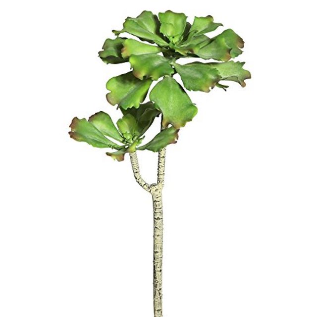 Vickerman FE172901 Vickerman 20" Artificial Green Aquarius Echeveria Stem