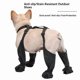 thumbnail image 2 of Suspender Dog Boots Leggings with Anti-Slip Sole for Small & Medium Dogs, Paw Protector, Perfect for Outdoor Walking, Hiking, Waterproof and Anti-Fall Dog Shoes with Adjustable Strap (m), 2 of 5