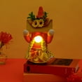 thumbnail image 4 of Naiovety Decoración de poliéster Gnomo de felpa con ojos luminosos Autumn Vibes On Point Decoración de otoño Gnomo de otoño Decoración del hogar hombres, 4 of 6