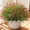 Red, variant on 20PCS Artificial Plants Fake Flowers Monkey Grass for Outdoors,UV Resistant Realistic Purple Faux Greenery Shrubs Outside Decor for Home Garland Porch Patio Balcony Planter Yard Office Pathway