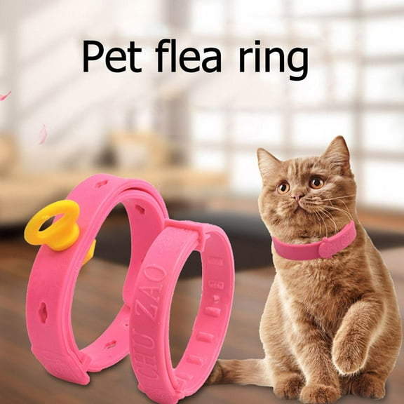 Clerance! PawCasa Verstellbares AntiFlohHalsband fr Haustiere Schutz G3 Katzen T7V3 X4Z3