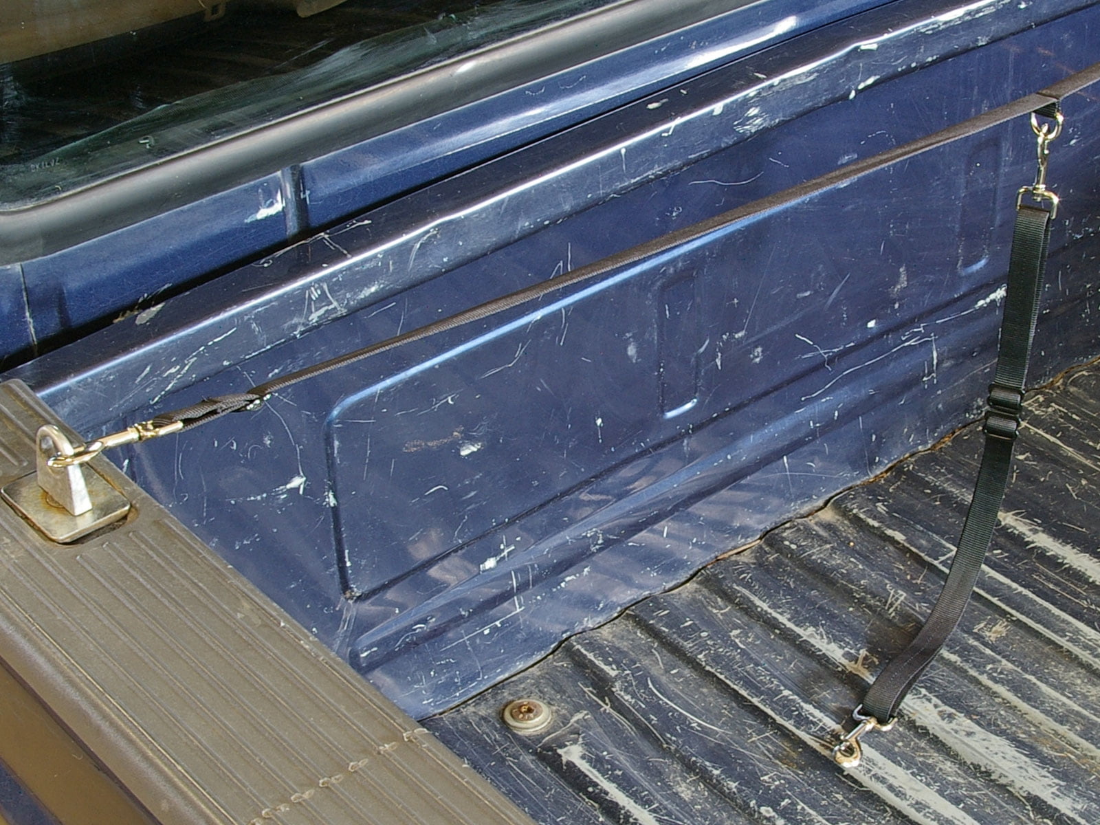 Truck bed dog cross tether cheap
