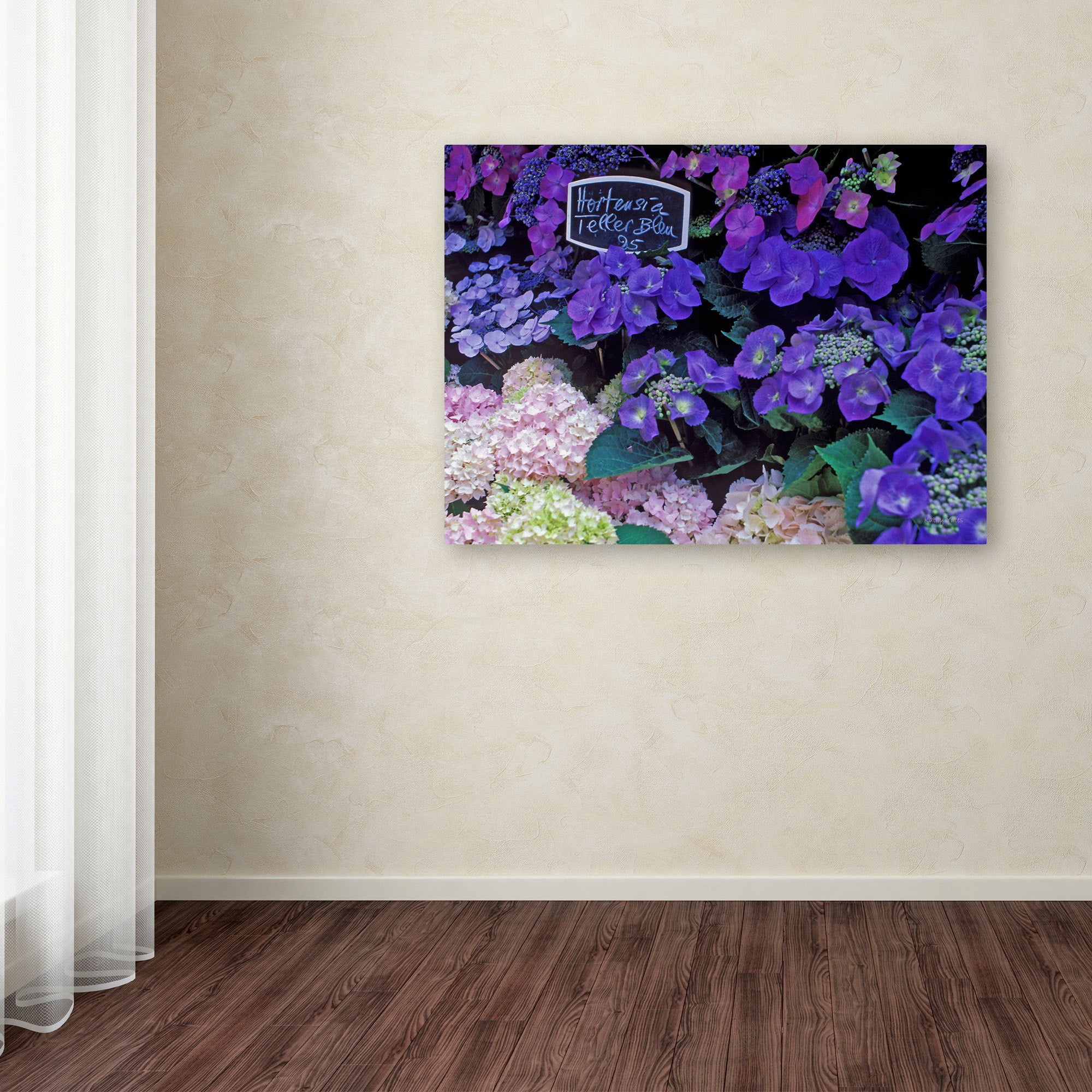 Trademark Fine Art "Paris Flower Market Hydrangeas" Canvas Art by Kathy Yates