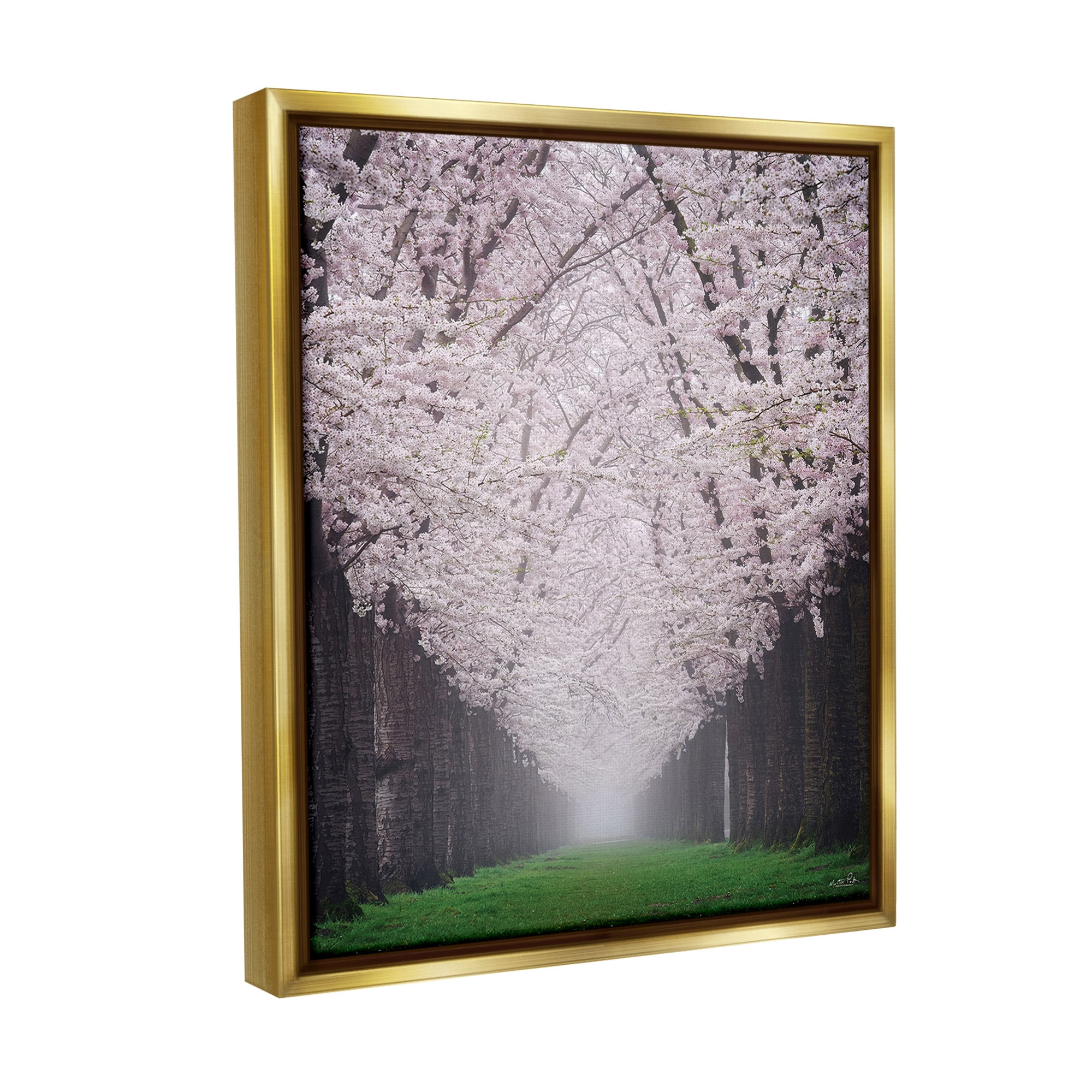 Stupell Industries Cherry Blossom Grove Landscape Photography Gold Floater Framed Canvas Art Print Wall Art, 25 x 31