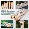 thumbnail image 3 of 17 Inch Natural Birch Logs - Decorative Dried Birch Wood Logs for Fireplace, Wedding Centerpieces - Unfinished Wood DIY Crafts, & Home Décor - Birch Log Bundle for Indoor Display (8 PCS) (1"-2.5", 3 of 8