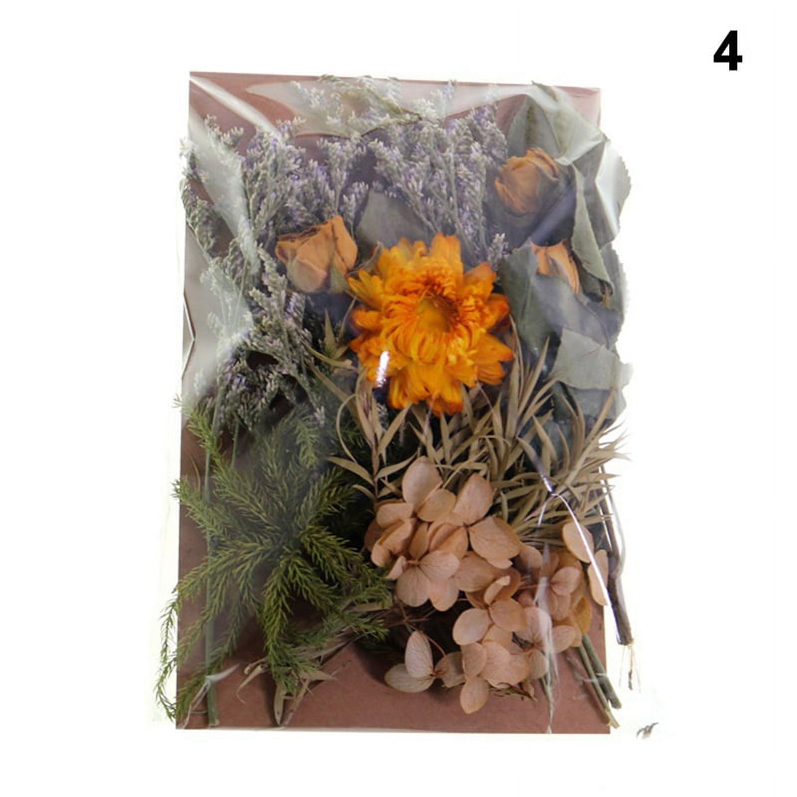 DALARAN 3 Pack Dried Pressed Flowers for Resin and Candle
