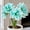 B, variant on Amaryllis for Planting - Easy to Grow & Quick Sprouting Garden Decoration( No Artificial )