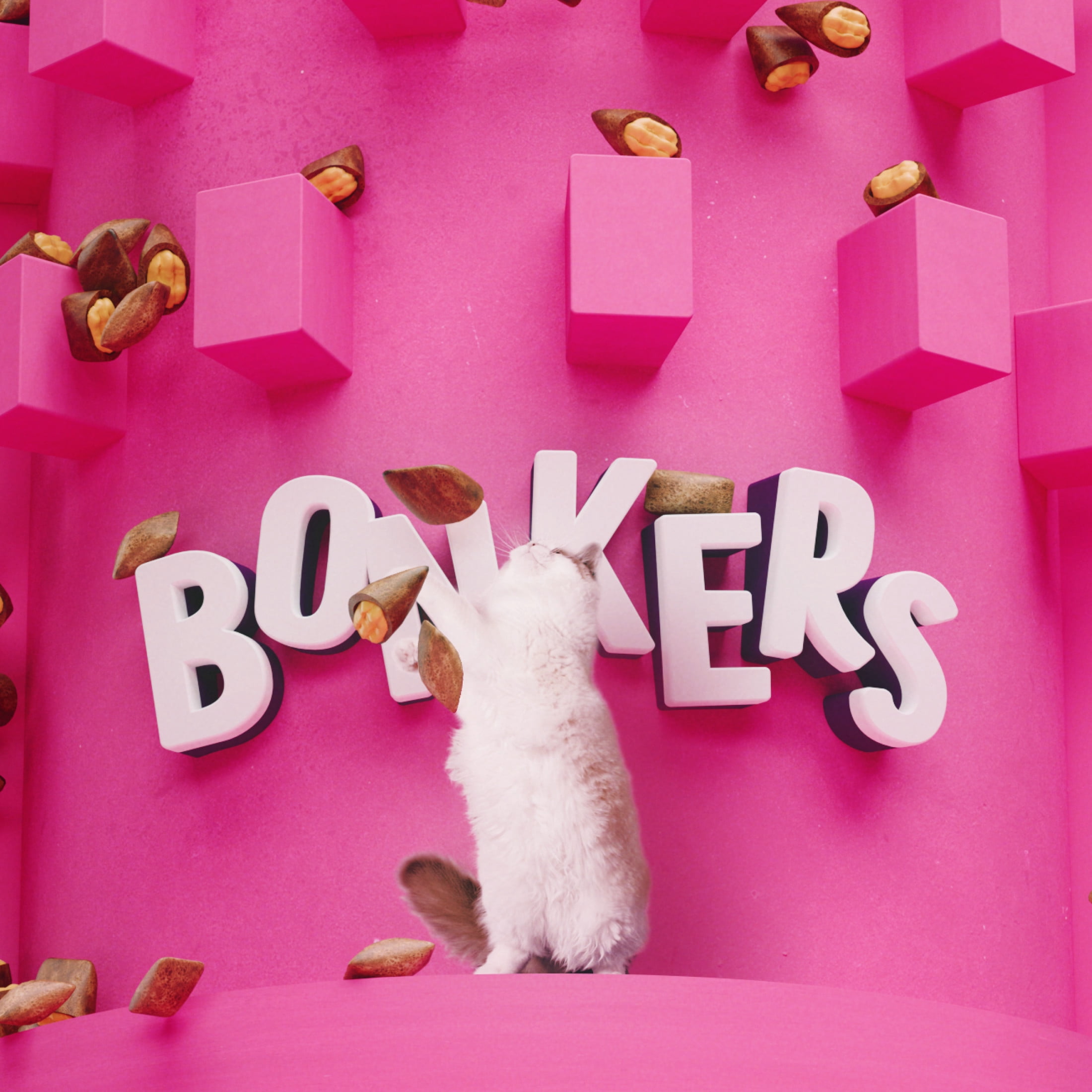 BONKERS Bites Seafood & Eat It Flavor Crunchy & Soft Treats for Cats, 34oz Tub