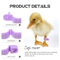 thumbnail image 5 of 100 Pcs Chicken Tags for Legs Labels Bird Accessories Identification Rings Poultry Disposable Marker, 5 of 6