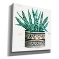 thumbnail image 2 of Epic Graffiti 'Mud Cloth Succulent II' by Cindy Jacobs, Canvas Wall Art, 37"x37", 2 of 2