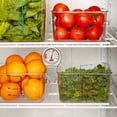 thumbnail image 3 of Rubbermaid Commercial Products Refrigerator/Freezer Thermometre (—20 — 80 F), 3 of 4