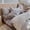 B, variant on 100% Cotton Yarn-Dyed Washed Cotton Bedding Set - Soft Plaid Design for Cozy Bedrooms, 3/4 Piece Collection