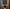 Black, variant on Lasko 42" Wind Curve 3-Speed Oscillating Remote Controlled Tower Fan with Ionizer, T42950