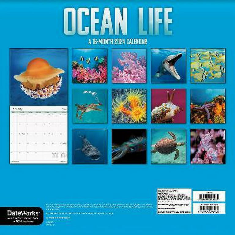 Wall Calendar 2024 - 30 x 29 Cm THE SEA