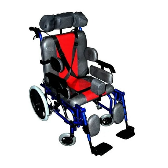 Silla Ruedas Parálisis Cerebral Adulto Modelo S800 Handy HANDY S800