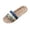Blue, variant on Men's Fashion Slides Comfortable Indoor Outdoor Casual Cane On Slippers For Home And Beach Use