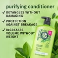 thumbnail image 2 of Herbal Essences Purifying Conditioner, Tea Tree, 33.8 fl oz, 2 of 10