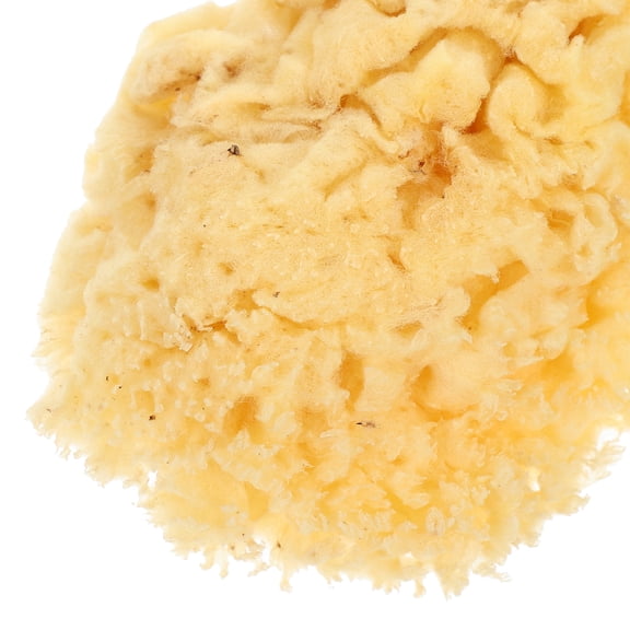 Clispeed Soft Natural Artist Sponge High Absorbency Watercolor And Painting Craft Sponges For Texture Techniques
