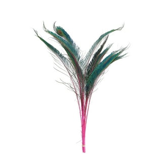 Zucker Feather Products Peacock Swords Stem Mix Dyed - Jewel