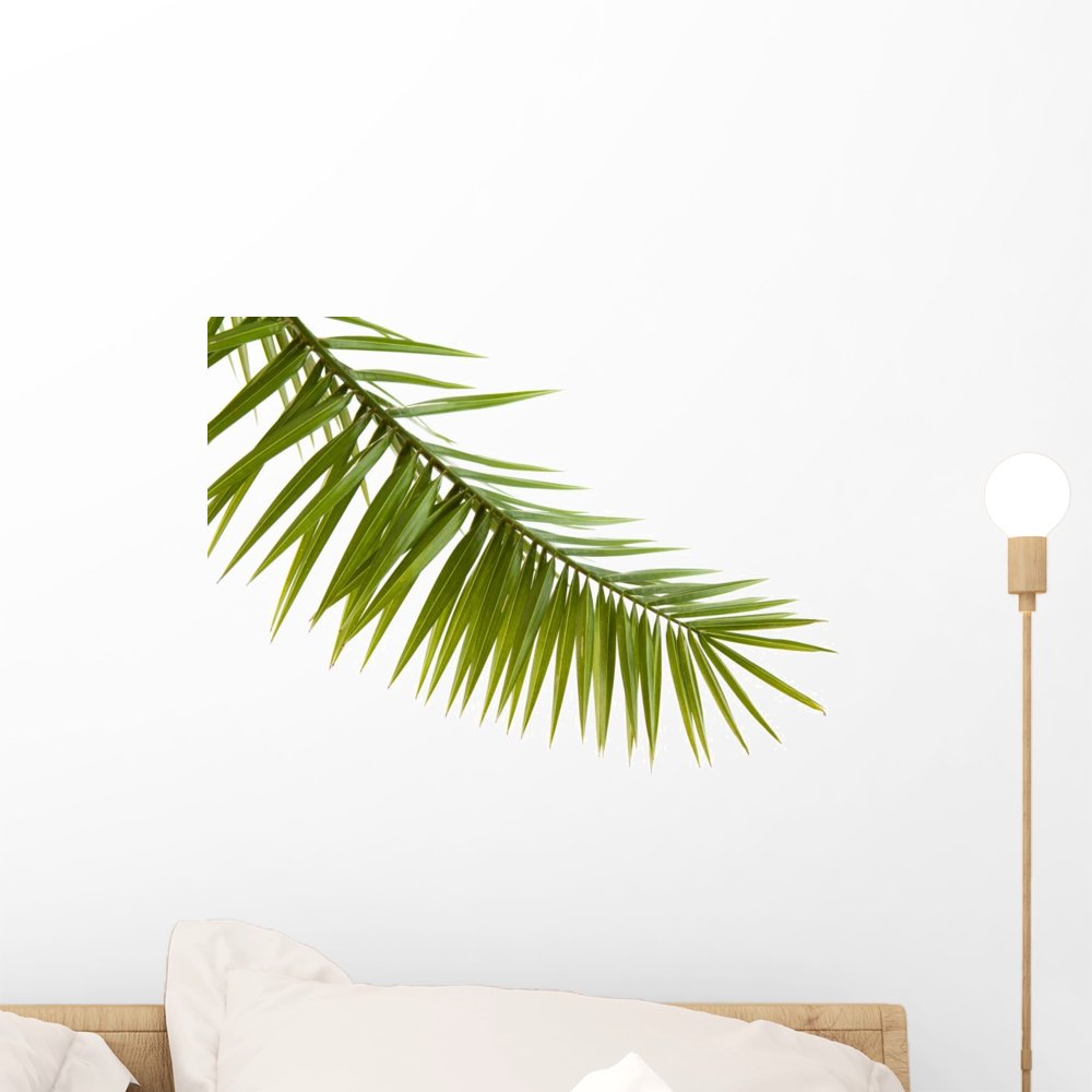 Green Palm Leaf White Wall Decal by Wallmonkeys Peel and Stick Graphic