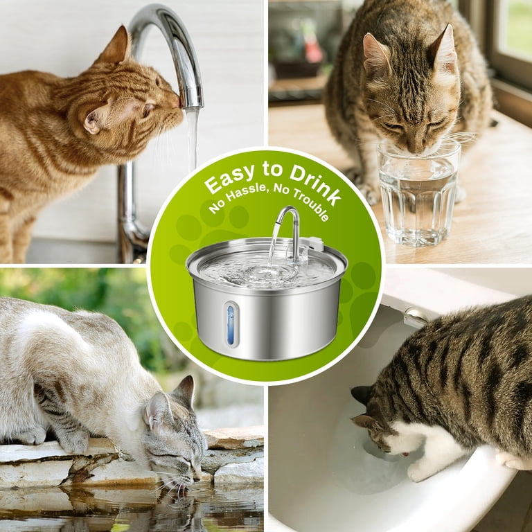 laser toy for cats KONG Cat Toy Laser Pointer
