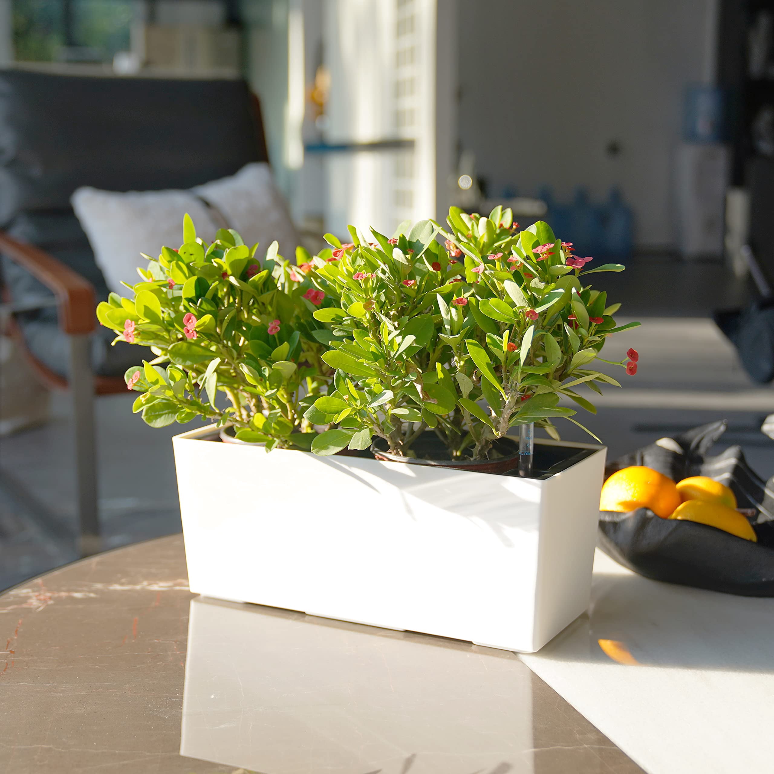 14 Inch Self Watering Planter Pot with Water Level Indicator, Rectangular Matte Plastic Window Box for Indoor Outdoor Herbs Succulents Flowers