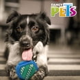 thumbnail image 3 of Juguete Dental Fancy Pets en Forma de Cubo con Cerdas para Perro, 3 of 5