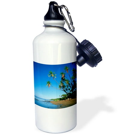 3dRose Kapuaiwa Coconut Grove, Molokai, Hawaii, USA - US12 DPB0335 - Douglas Peebles, Sports Water Bottle,