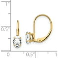 thumbnail image 2 of 14K Yellow Gold 6X4mm Oval Cubic Zirconia Leverback Earrings (16 X 4) Made In United States xlb114cz, 2 of 5