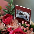 thumbnail image 3 of 3drose, Sparrow and Cardinal at Choir Pratice, 6 Greeting Cards with Envelopes, 3 of 7