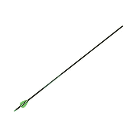 Allen Company Kryptos Carbon Arrow 29 with 2 Profile Vanes Black Hunting Arrow