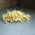 Green Pea Sprouting Seed 8 Oz Handy Pantry Brand Green Pea for