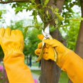 thumbnail image 4 of Guantes de jardinería para mujeres/hombres, guante de protección de antebrazo largo a prueba de cortes y espinas de poda de rosas, guantes de jardín de trabajo de cuero de vaca gruesos y duradero, 4 of 5