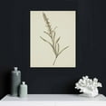 thumbnail image 5 of Nawypu  Botanical Wall Art - Vintage Botanical Prints, Plant Art Wall Decor, Neutral Floral Wall Art Pictures, Beige Flower Poster Paintings, Flower Sketch Drawing for Bedroom, 5 of 5